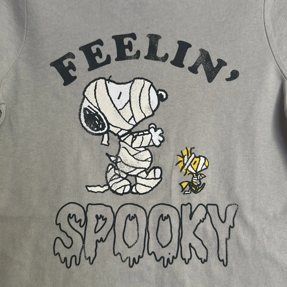 NWT- Tucker + Tate Peanuts Feelin Spooky Snoopy Mummy T-Shirt Gray, size 2